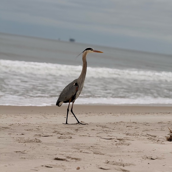 Kaylee Rae🙃 - Picture 4 of 10